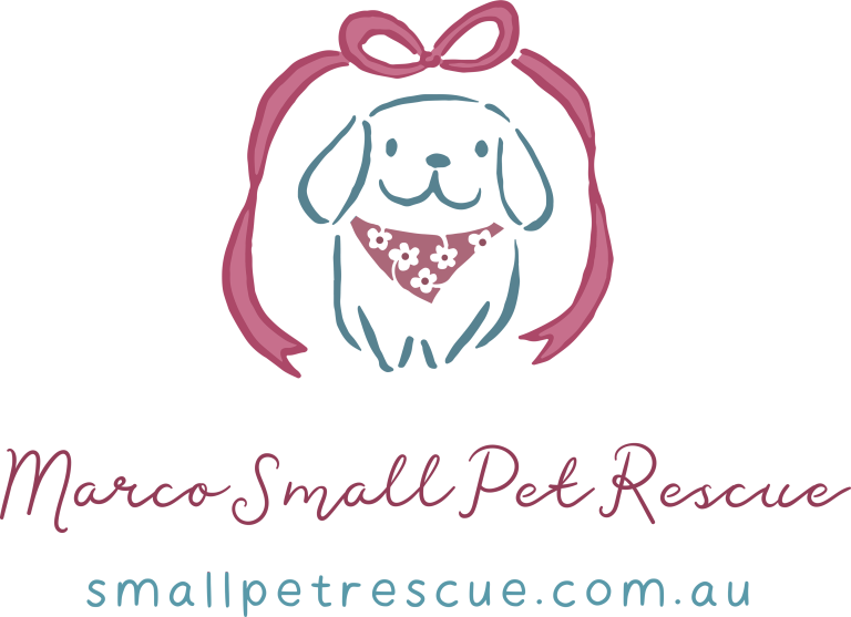 Pet Rescue Marco Small Pet Rescue